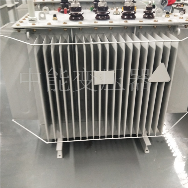 延安S20-800KVA变压器