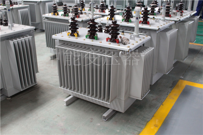 延安S22-100KVA/10KV/0.4KV变压器